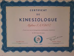 Kinésiologue à Fontenilles et à Plaisance du Touch -Excellence Signature